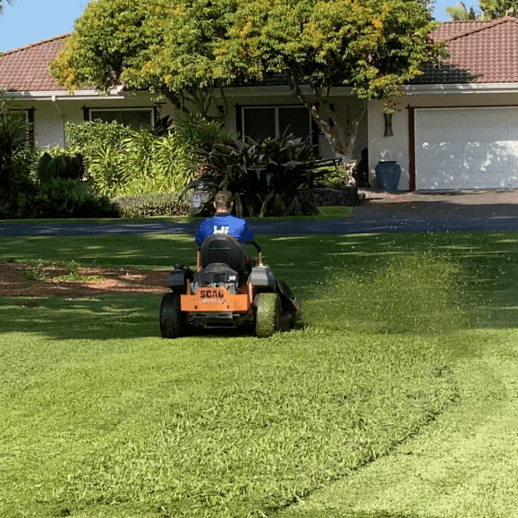 Hawaii  Landscaping